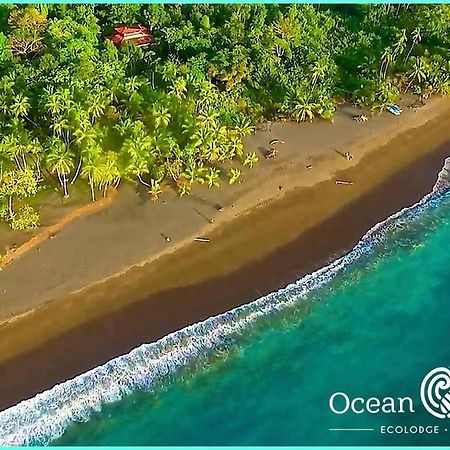 Ocean Forest Ecolodge San Pedrillo Экстерьер фото