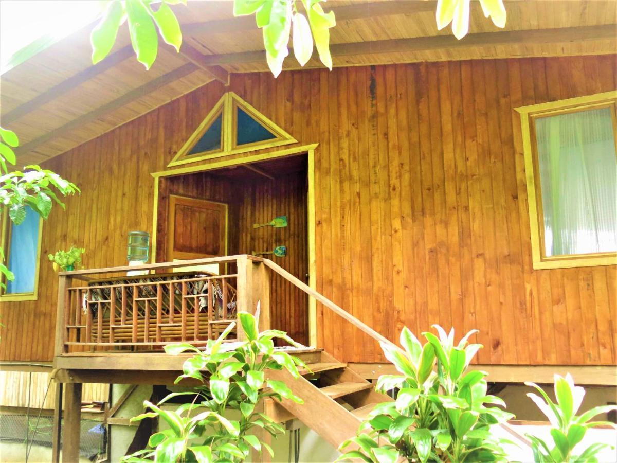 Ocean Forest Ecolodge San Pedrillo Экстерьер фото
