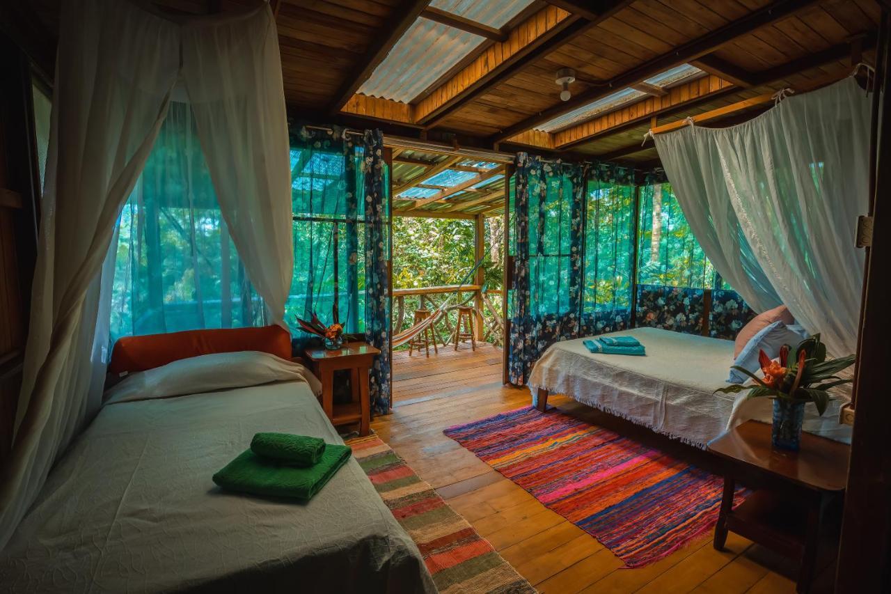 Ocean Forest Ecolodge San Pedrillo Экстерьер фото