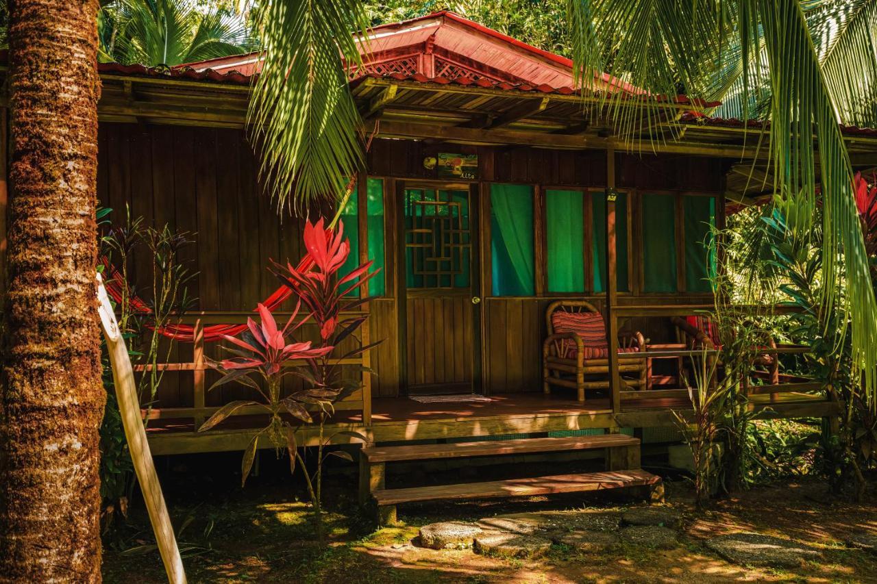 Ocean Forest Ecolodge San Pedrillo Экстерьер фото
