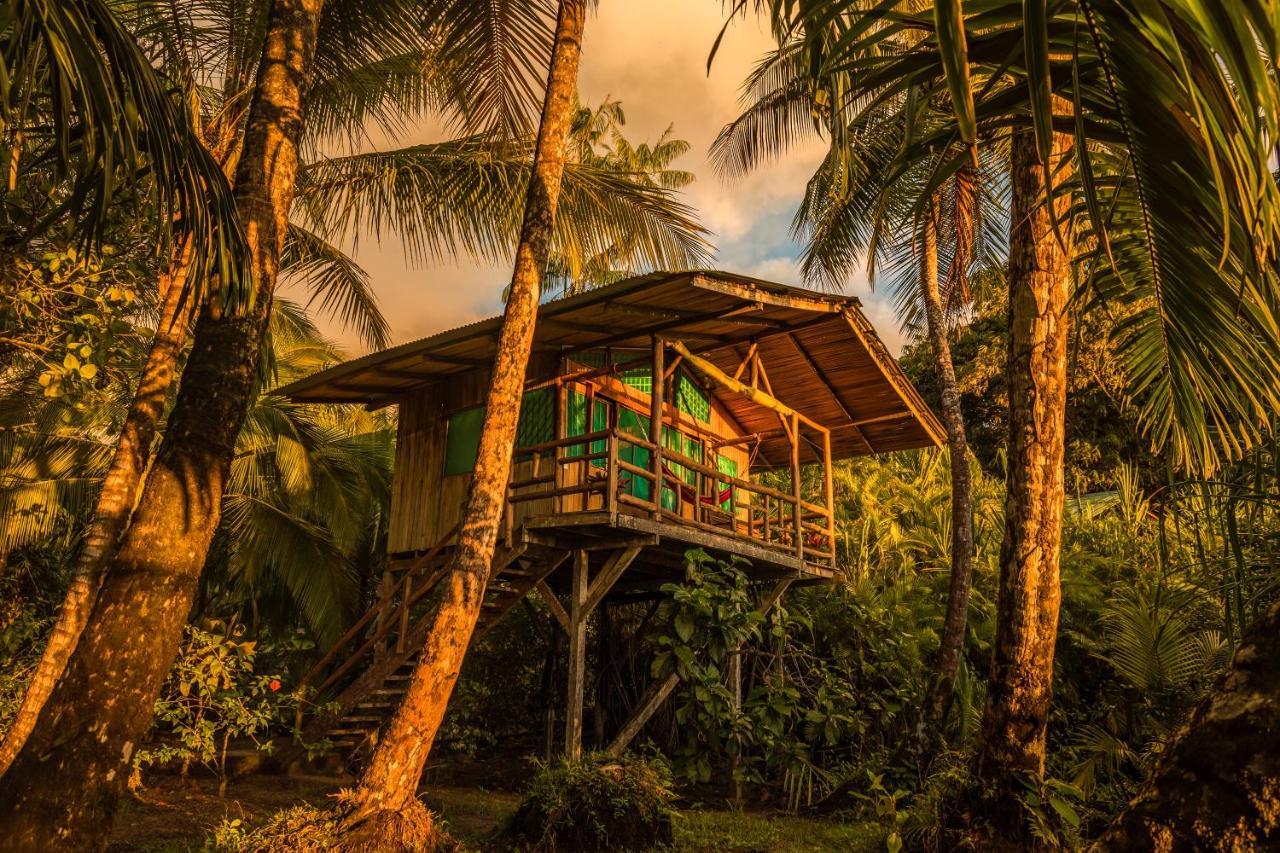 Ocean Forest Ecolodge San Pedrillo Экстерьер фото