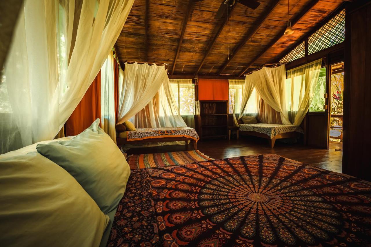 Ocean Forest Ecolodge San Pedrillo Экстерьер фото