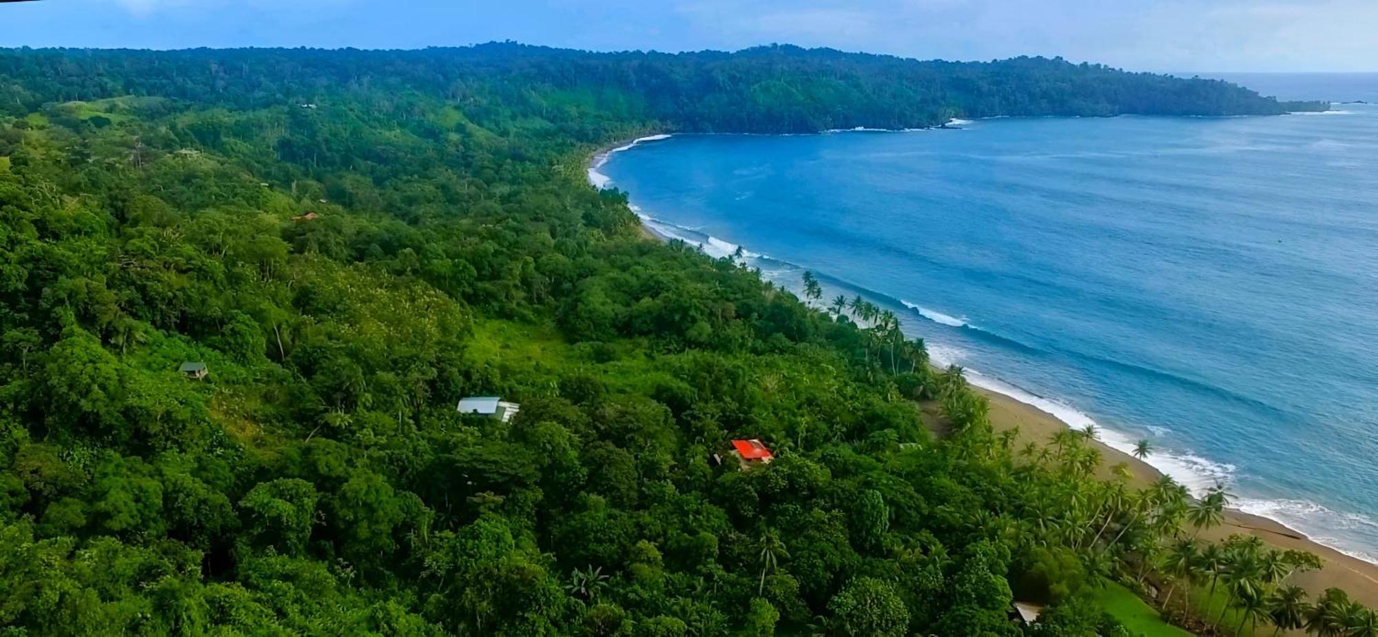 Ocean Forest Ecolodge San Pedrillo Экстерьер фото