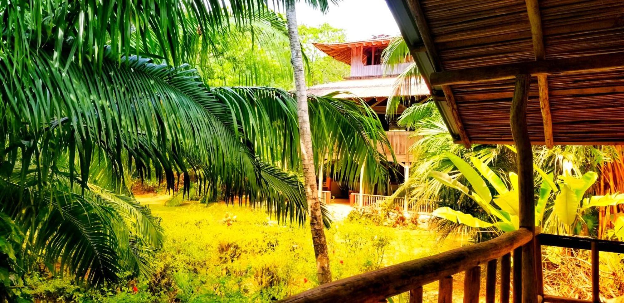 Ocean Forest Ecolodge San Pedrillo Экстерьер фото