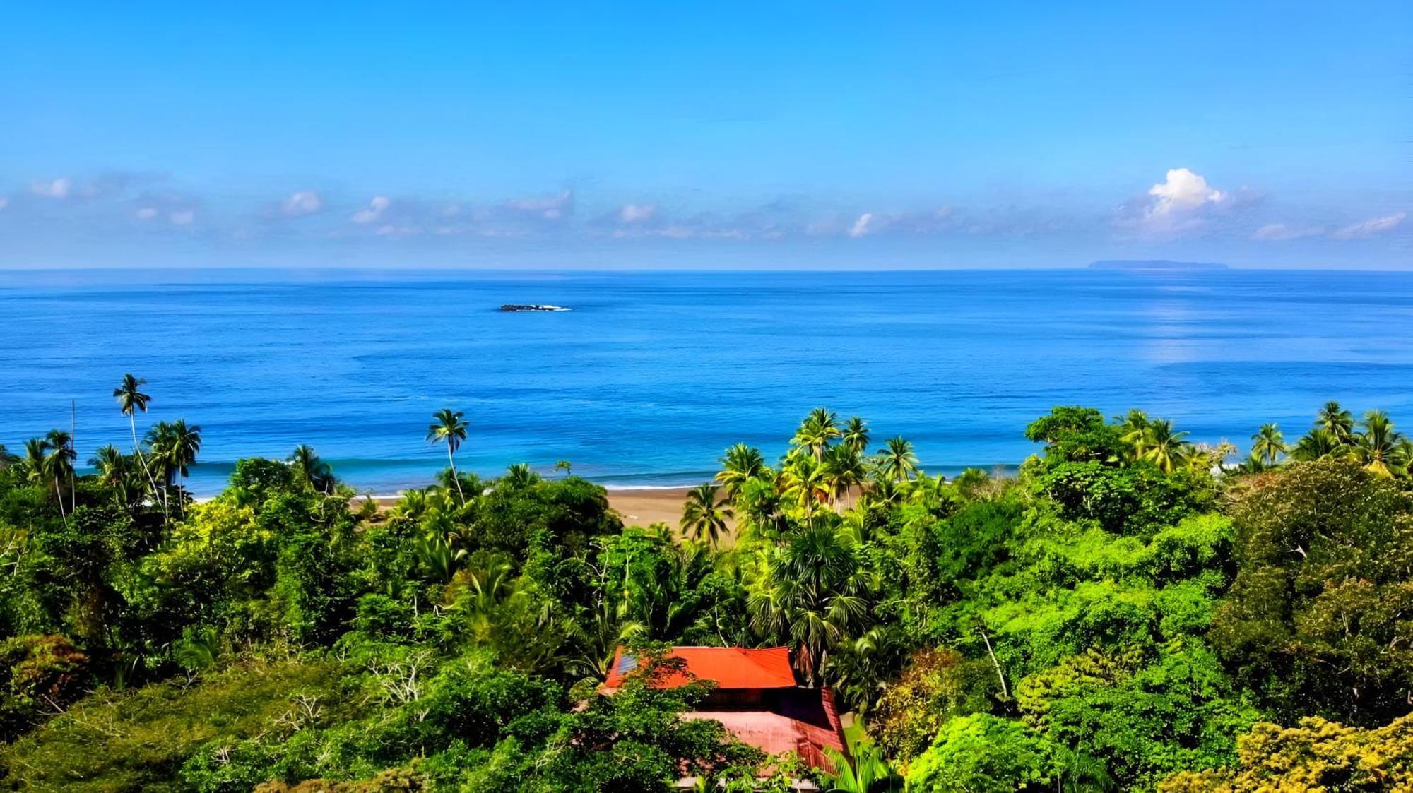 Ocean Forest Ecolodge San Pedrillo Экстерьер фото