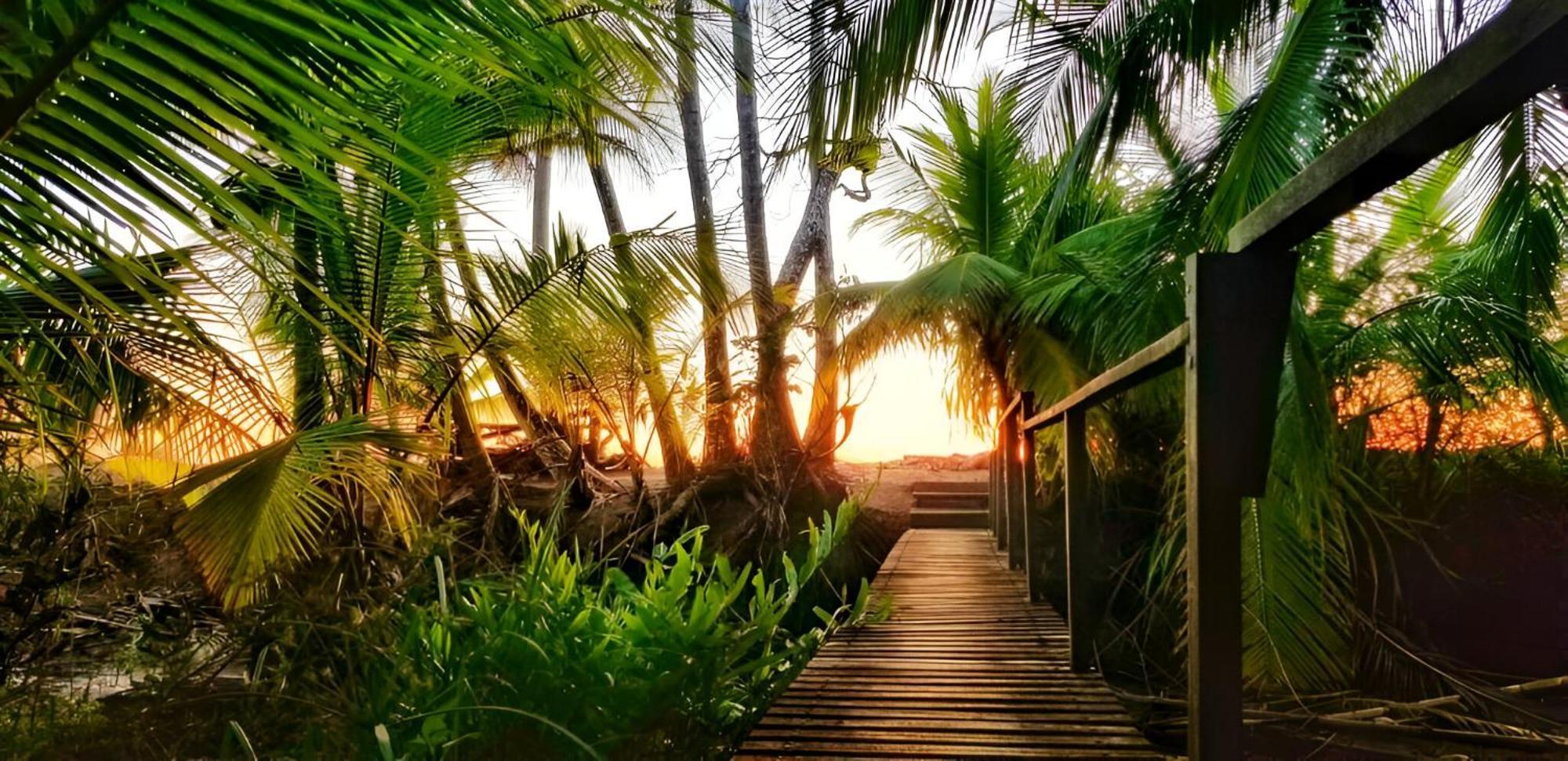 Ocean Forest Ecolodge San Pedrillo Экстерьер фото