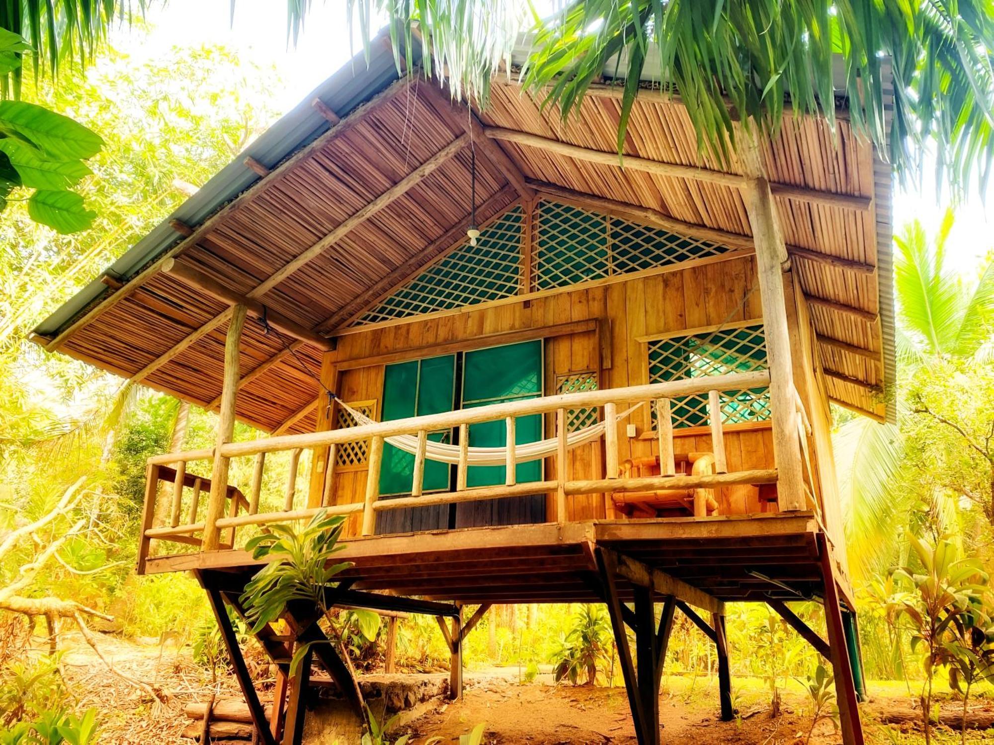 Ocean Forest Ecolodge San Pedrillo Экстерьер фото